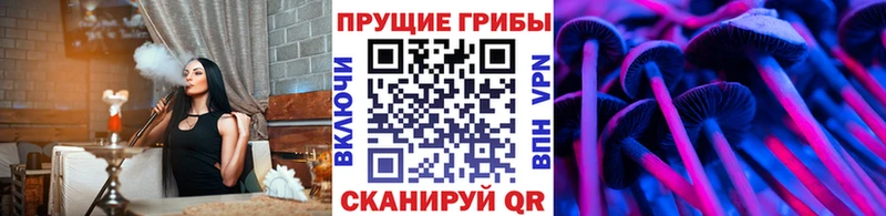 где можно купить наркотик Алупка Галлюциногенные грибы мицелий